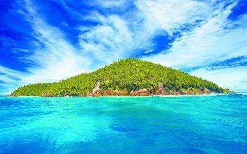 寻找答案,尽在荆芥播种后遇大风怎么办?交流平台